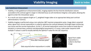 Late Gadolinium Enhancement
• Viability, or late gadolinium enhancement (LGE), imaging exploits the fact that the distribution volume
accessible to the contrast agent is larger in infarcted tissue as cell membrane integrity is disrupted, allowing the
agent to enter the intracellular space.
• As a result scar tissue appears bright on T1 weighted images taken at an appropriate delay post-contrast
administration (~15mins).
• Viability imaging is performed using a non-selective 180° inversion preparation pulse. Image data is acquired
when signal from normal myocardium is nulled to optimise the contrast between the bright hyper-enhancing
scar tissue and the normal myocardium. As the T1 of normal myocardium varies from study-to-study (due to
variation in contrast dose, protocol and physiological parameters) a TI-scout, Look-Locker sequence with
multiple TI values is used to visually identify the optimal TI value for the LGE sequence.
Viability Imaging
Mz
time after inversion pulse
TImyo Scar tissue
Data acquired when myocardium is nulled
Signal from viable
myocardium is
nulled in the final
image
Back to Index
 