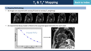 T2 Mapping Methodology
• SE images are acquired with varying TE (and so varying T2 weighting)
• An exponential decay model is fitted to the acquired signal intensities for each voxel.
T2 & T2* Mapping
S=S0exp(-TE/T2)
T2 Map
Back to Index
 
