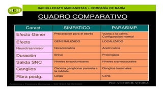 CMR PSICOLOGÍA BIM 1 TEMA BASES BIOLÓGICAS DE LA CONDUCTA.pptx