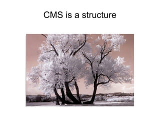 CMS is a structure 