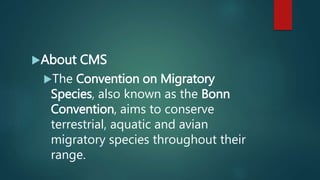 About CMS
The Convention on Migratory
Species, also known as the Bonn
Convention, aims to conserve
terrestrial, aquatic and avian
migratory species throughout their
range.
 