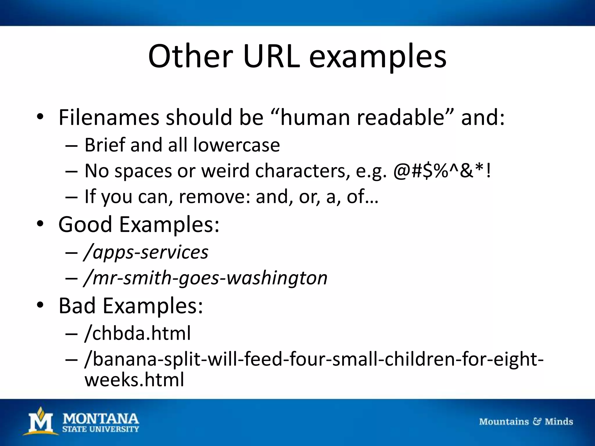 Other URL examples
• Filenames should be “human readable” and:
– Brief and all lowercase
– No spaces or weird characters, e.g. @#$%^&*!
– If you can, remove: and, or, a, of…
• Good Examples:
– /apps-services
– /mr-smith-goes-washington
• Bad Examples:
– /chbda.html
– /banana-split-will-feed-four-small-children-for-eight-
weeks.html
 
