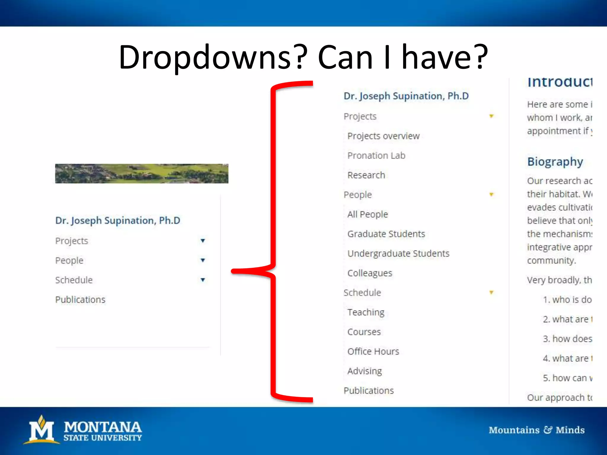 Dropdowns? Can I have?
 