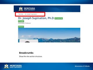Breadcrumbs
Show the site section structure.
 