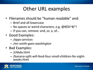 Other URL examples
• Filenames should be “human readable” and:
– Brief and all lowercase
– No spaces or weird characters, e.g. @#$%^&*!
– If you can, remove: and, or, a, of…
• Good Examples:
– /apps-services
– /mr-smith-goes-washington
• Bad Examples:
– /chbda.html
– /banana-split-will-feed-four-small-children-for-eight-
weeks.html
 