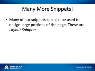 Many More Snippets!
• Many of our snippets can also be used to
design large portions of the page. These are
Layout Snippets.
 