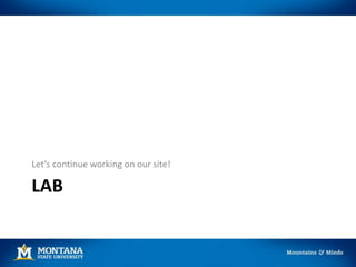 LAB
Let’s continue working on our site!
 