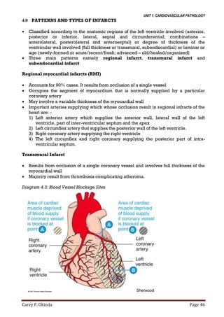Cardiovascular System Pathology 2014 edited by @jennings argwing | PDF