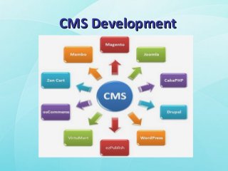CMS DevelopmentCMS Development
 