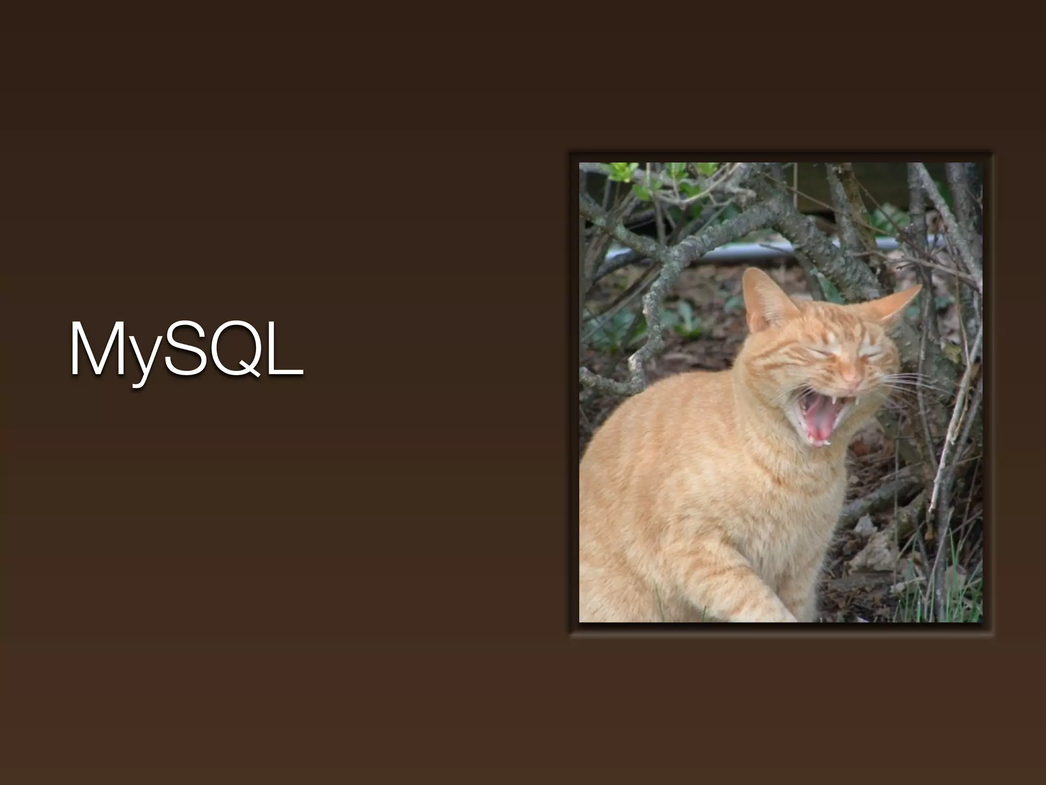 MySQL
 