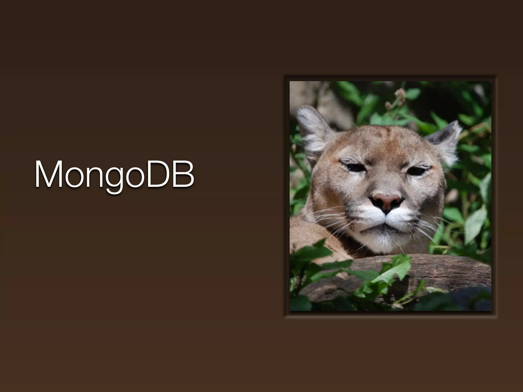 MongoDB
 