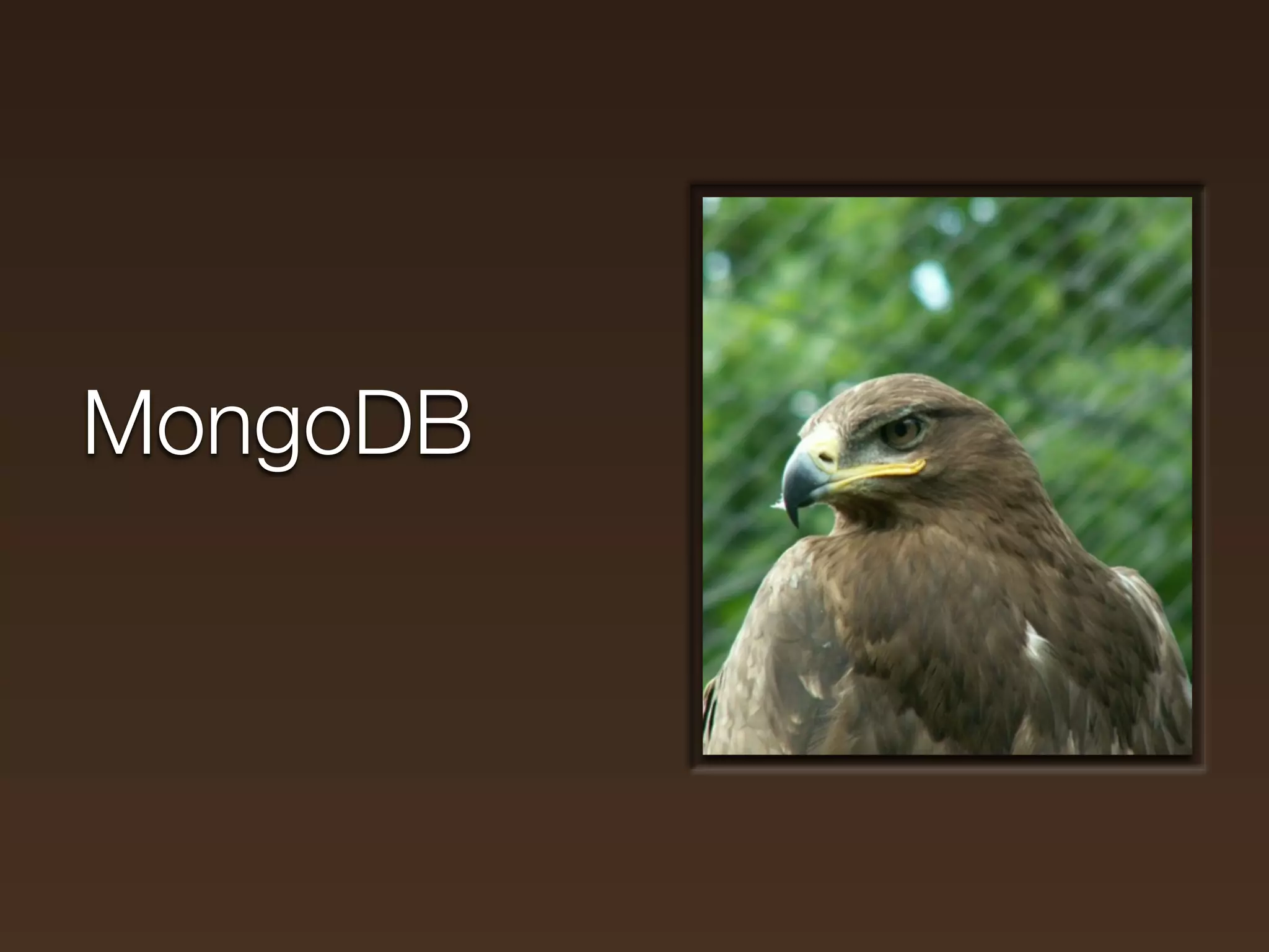 MongoDB
 