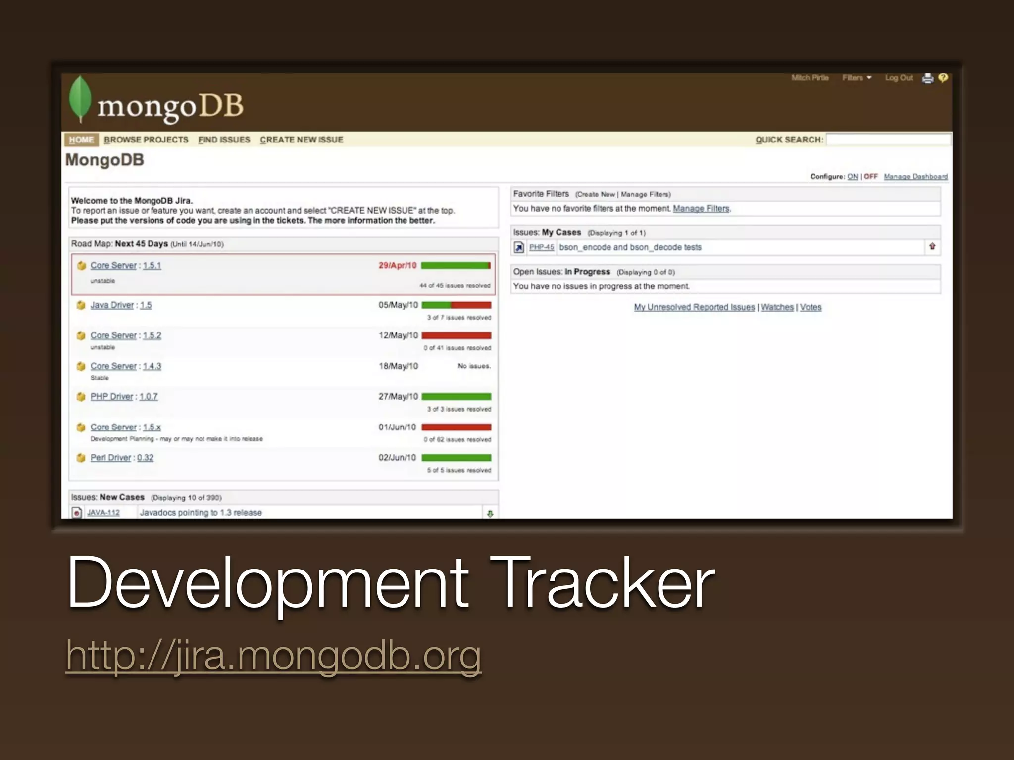 Development Tracker
http://jira.mongodb.org
 