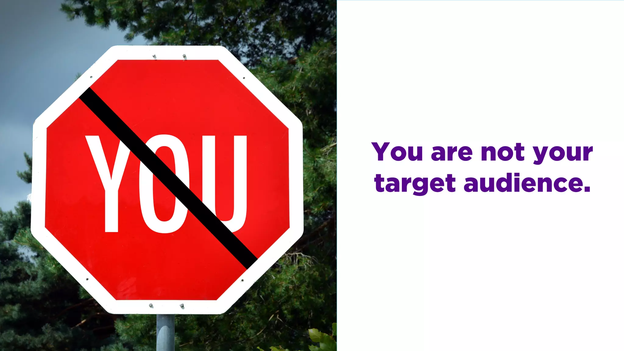 You are not your
target audience.
 