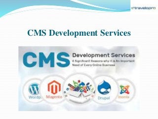CMS Development Services
 