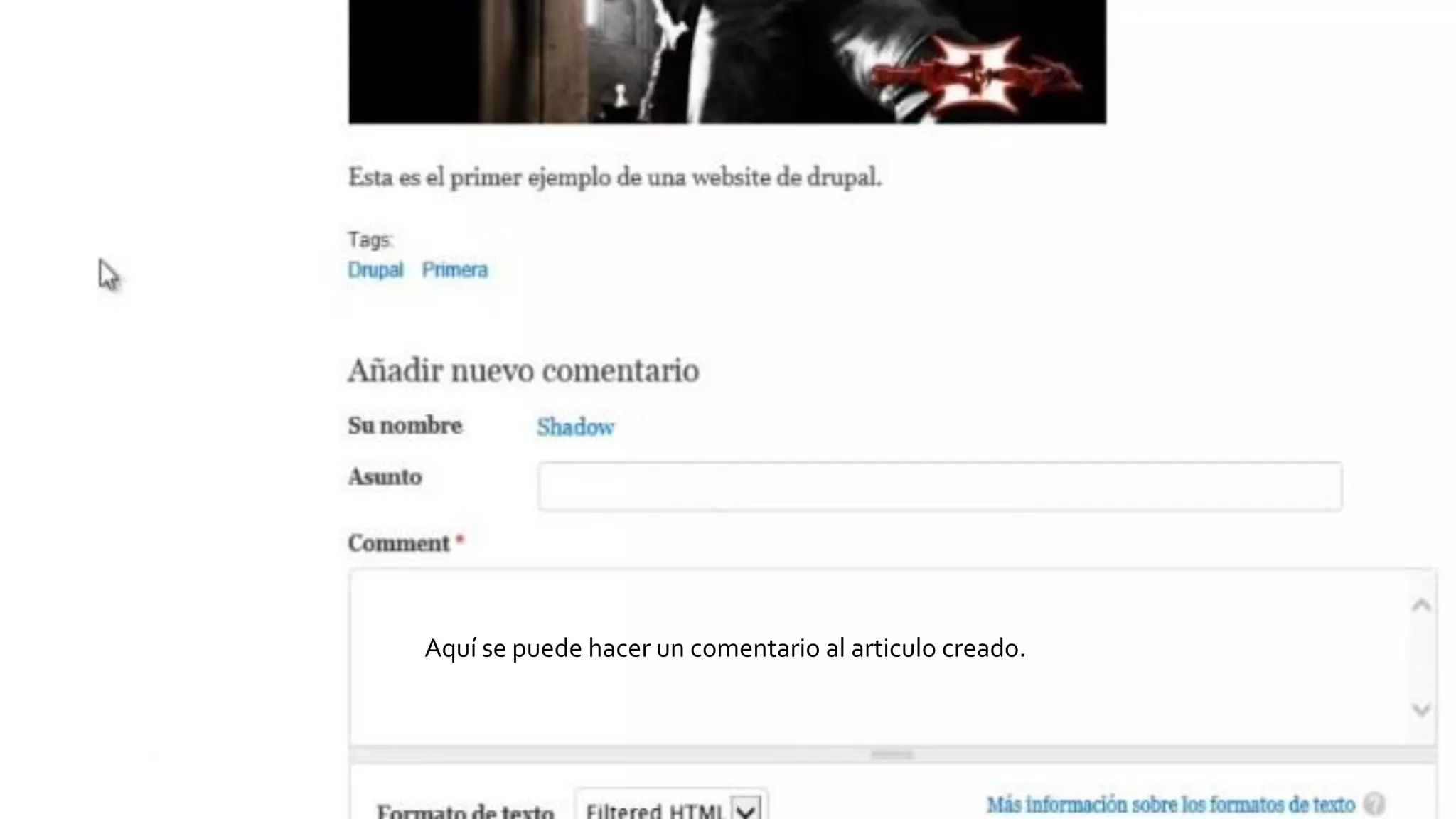 Aquí se puede hacer un comentario al articulo creado.
 