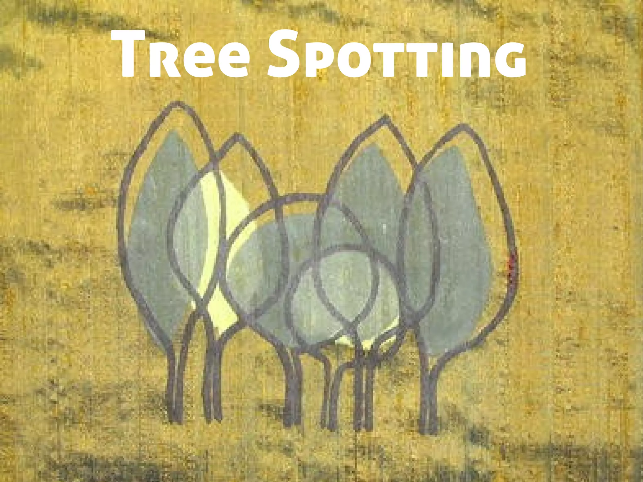 Tree Spotting
 