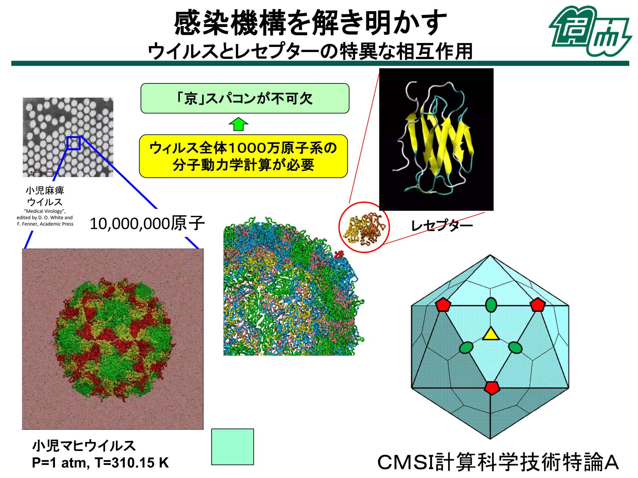 レセプター
感染機構を解き明かす
ウイルスとレセプターの特異な相互作用
10,000,000原子
「京」スパコンが不可欠
ウィルス全体１０００万原子系の
分子動力学計算が必要
小児マヒウイルス
P=1 atm, T=310.15 K
小児麻痺
ウイルス
“Medical Virology”,
edited by D. O. White and
F. Fenner, Academic Press
ＣＭＳＩ計算科学技術特論Ａ
 