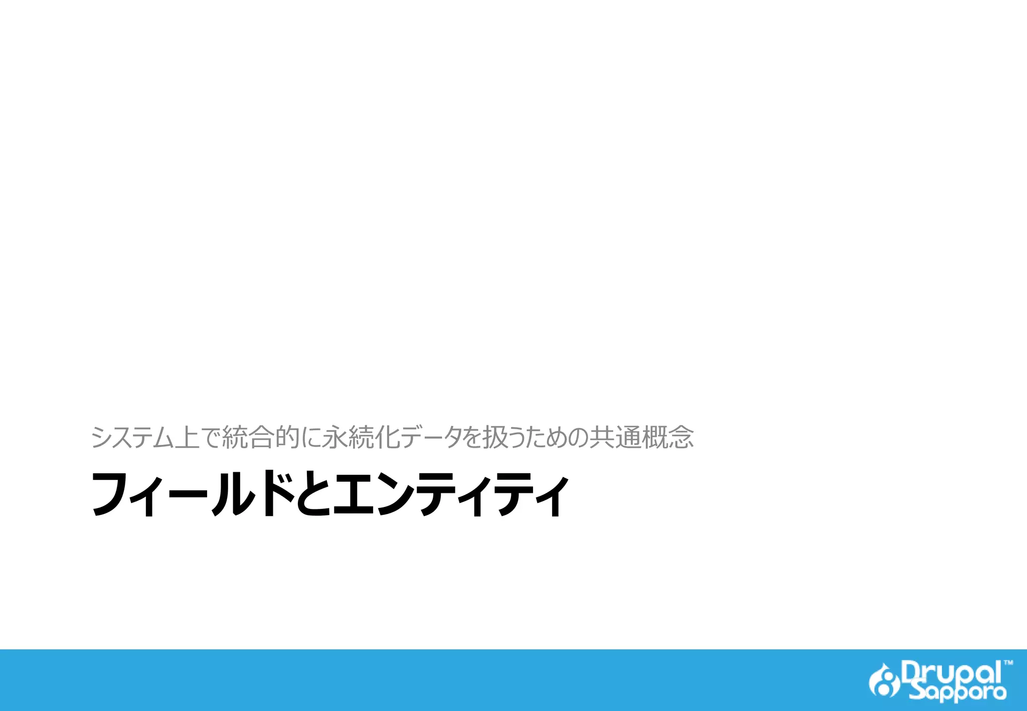 フィールドとエンティティ
システム上で統合的に永続化データを扱うための共通概念
 