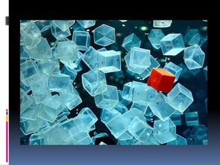 Cmst 225 — final presentation