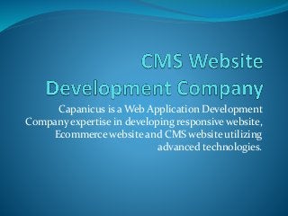 Capanicus is a Web Application Development
Company expertise in developing responsive website,
Ecommerce website and CMS website utilizing
advanced technologies.
 