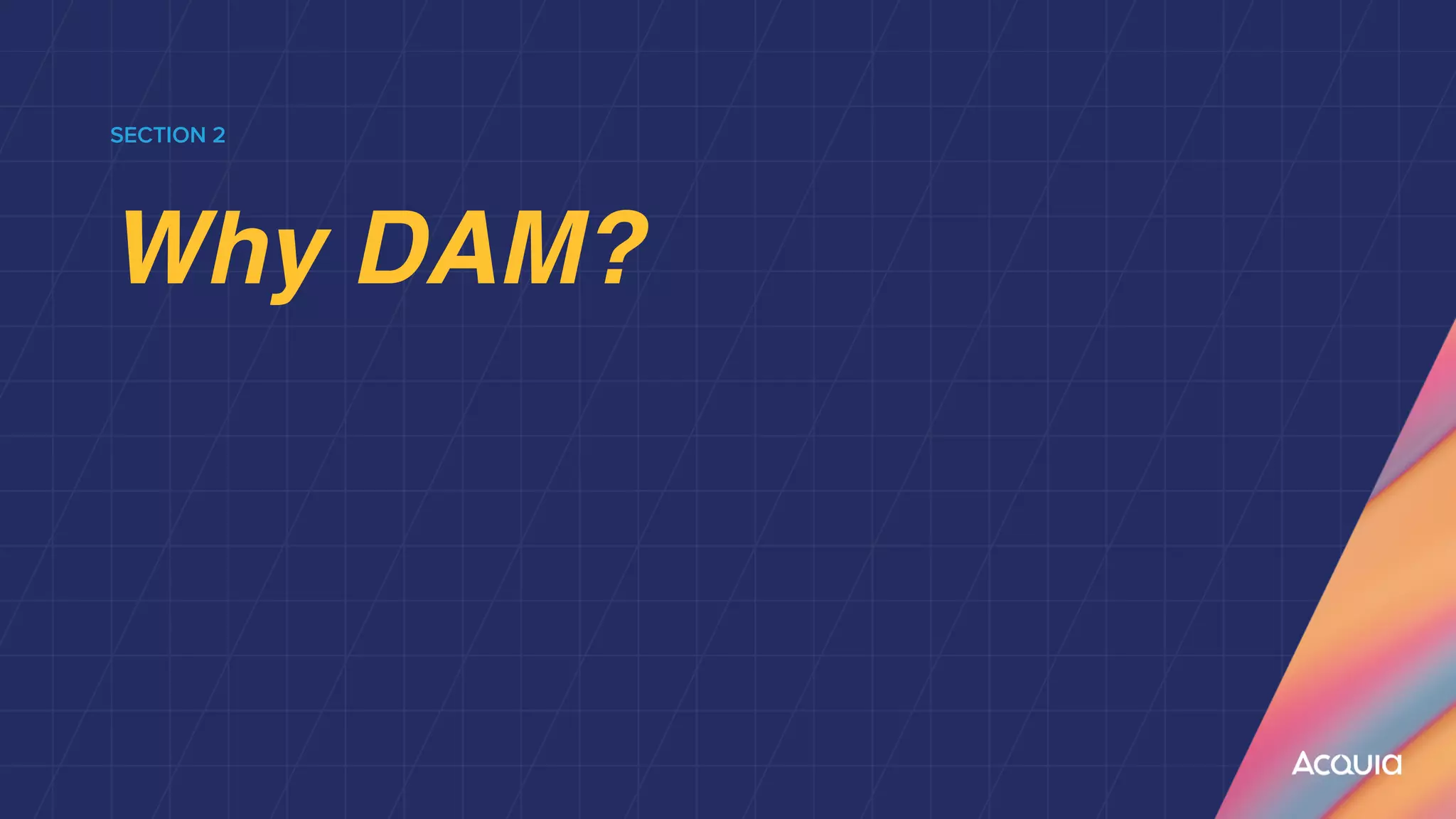 SECTION 2


Why DAM?
 