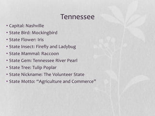 Tennessee
• Capital: Nashville
• State Bird: Mockingbird
• State Flower: Iris
• State Insect: Firefly and Ladybug
• State Mammal: Raccoon
• State Gem: Tennessee River Pearl
• State Tree: Tulip Poplar
• State Nickname: The Volunteer State
• State Motto: “Agriculture and Commerce”

 
