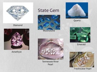 State Gem
Quartz
Diamond
Moonstone

Emerald

Amethyst

Tennessee River
Pearl
Freshwater Pearl

 