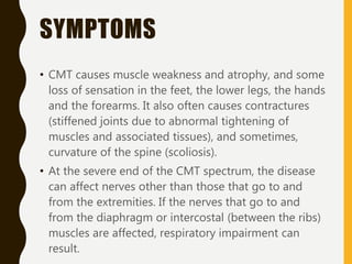 SYMPTOMS
• CMT causes muscle weakness and atrophy, and some
loss of sensation in the feet, the lower legs, the hands
and the forearms. It also often causes contractures
(stiffened joints due to abnormal tightening of
muscles and associated tissues), and sometimes,
curvature of the spine (scoliosis).
• At the severe end of the CMT spectrum, the disease
can affect nerves other than those that go to and
from the extremities. If the nerves that go to and
from the diaphragm or intercostal (between the ribs)
muscles are affected, respiratory impairment can
result.
 