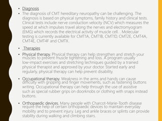 • Diagnosis
• The diagnosis of CMT hereditary neuropathy can be challenging. The
diagnosis is based on physical symptoms, family history and clinical tests.
Clinical tests include nerve conduction velocity (NCV) which measures the
speed at which impulses travel along the nerves and electromyogram
(EMG) which records the electrical activity of muscle cell. . Molecular
testing is currently available for CMT1A, CMT1B, CMT1D, CMT2E, CMT4A,
CMT4E, CMT4F and CMTX.
• Therapies
• Physical therapy. Physical therapy can help strengthen and stretch your
muscles to prevent muscle tightening and loss. A program usually
low-impact exercises and stretching techniques guided by a trained
physical therapist and approved by your doctor. Started early and
regularly, physical therapy can help prevent disability.
• Occupational therapy. Weakness in the arms and hands can cause
difficulty with gripping and finger movements, such as fastening buttons
writing. Occupational therapy can help through the use of assistive
such as special rubber grips on doorknobs or clothing with snaps instead
buttons.
• Orthopaedic devices. Many people with Charcot-Marie-Tooth disease
require the help of certain orthopaedic devices to maintain everyday
mobility and to prevent injury. Leg and ankle braces or splints can provide
stability during walking and climbing stairs.
 