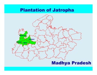 3ODQWDWLRQRI-DWURSKD




            0DGKD3UDGHVK
 