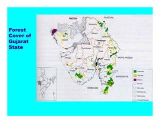 )RUHVW
RYHURI
*XMDUDW
6WDWH
 