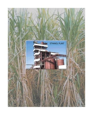 Production of BioDiesel Using Jatropha as a Feedstock  