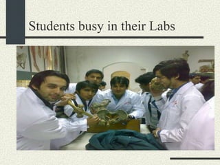 Students busy in their Labs 