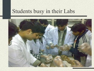 Students busy in their Labs 