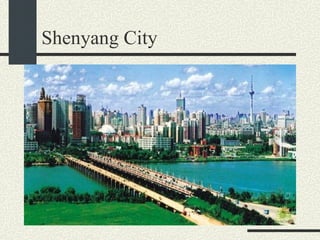 Shenyang City 