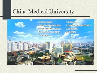 China Medical University 