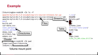 © 2017 MapR Technologies 18
Example
Files
Table
Streams
Directories
Cluster
Volume mount point
 