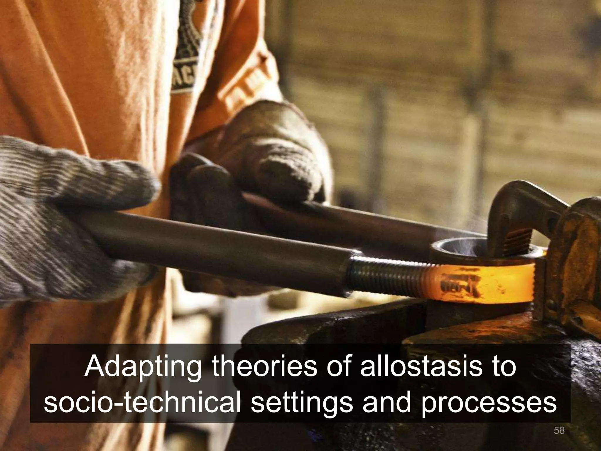 58 
Adapting theories of allostasis to 
socio-technical settings and processes 
 