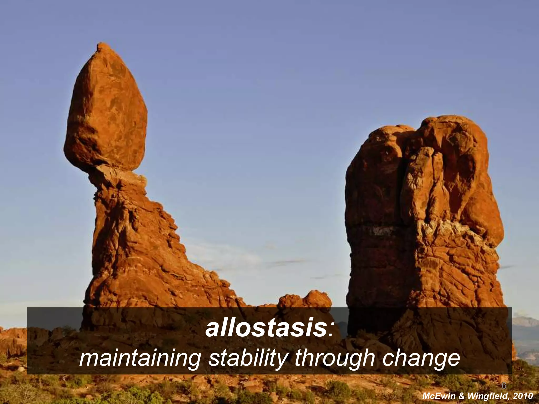 allostasis: 
maintaining stability through change 
6 
McEwin & Wingfield, 2010 
 