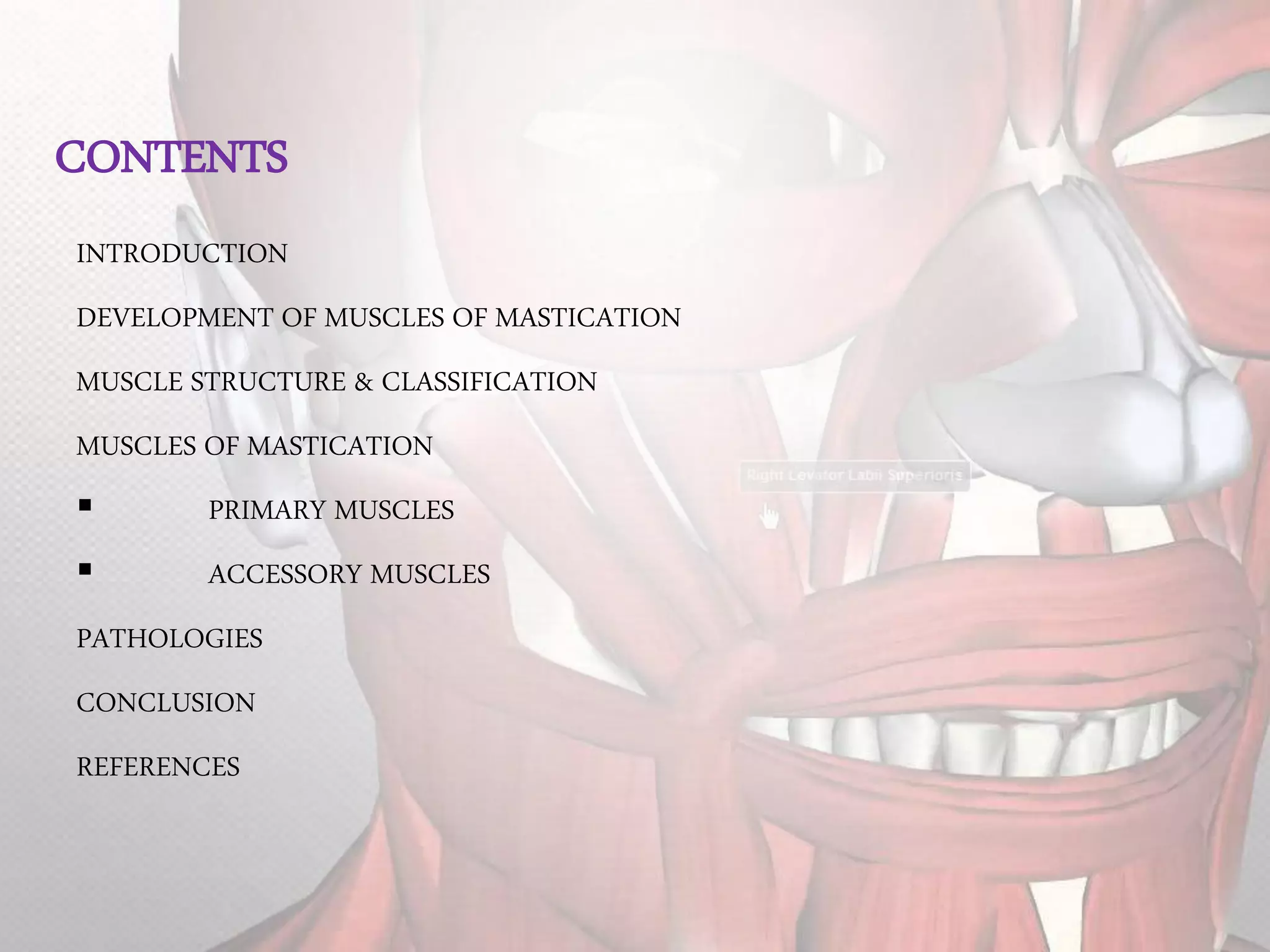 muscles of mastication | PPTX