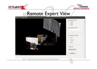 Remote Expert View
 