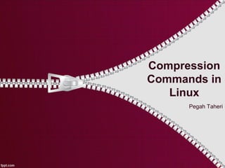 Compression
Commands in
Linux
Pegah Taheri
 
