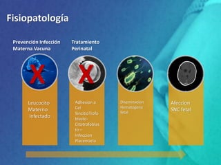 Fisiopatología
Afeccion
SNC fetal
Diseminacion
Hematogena
fetal
Adhesion a
Cel
SincitioTrofo
blasto-
Citotrofoblas
to –
Infeccion
Placentaria
Leucocito
Materno
infectado
Prevención Infección
Materna Vacuna
Tratamiento
Perinatal
X X
 