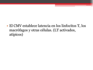 • El CMV establece latencia en los linfocitos T, los
macrófagos y otras células. (LT activados,
atípicos)
 