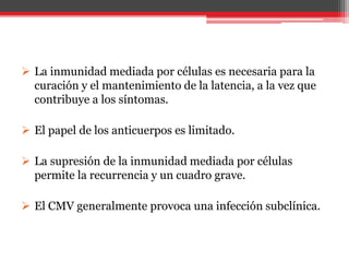  La inmunidad mediada por células es necesaria para la
curación y el mantenimiento de la latencia, a la vez que
contribuye a los síntomas.
 El papel de los anticuerpos es limitado.
 La supresión de la inmunidad mediada por células
permite la recurrencia y un cuadro grave.
 El CMV generalmente provoca una infección subclínica.
 