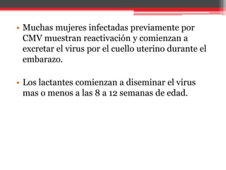 • Muchas mujeres infectadas previamente por
CMV muestran reactivación y comienzan a
excretar el virus por el cuello uterino durante el
embarazo.
• Los lactantes comienzan a diseminar el virus
mas o menos a las 8 a 12 semanas de edad.
 