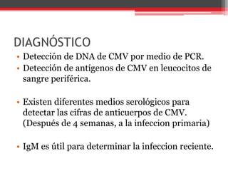 DIAGNÓSTICO
• Detección de DNA de CMV por medio de PCR.
• Detección de antígenos de CMV en leucocitos de
sangre periférica.
• Existen diferentes medios serológicos para
detectar las cifras de anticuerpos de CMV.
(Después de 4 semanas, a la infeccion primaria)
• IgM es útil para determinar la infeccion reciente.
 