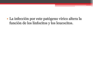 • La infección por este patógeno vírico altera la
función de los linfocitos y los leucocitos.
 