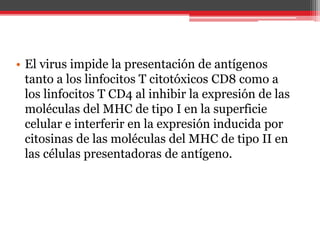 • El virus impide la presentación de antígenos
tanto a los linfocitos T citotóxicos CD8 como a
los linfocitos T CD4 al inhibir la expresión de las
moléculas del MHC de tipo I en la superficie
celular e interferir en la expresión inducida por
citosinas de las moléculas del MHC de tipo II en
las células presentadoras de antígeno.
 